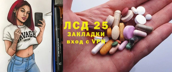 крисы Алзамай