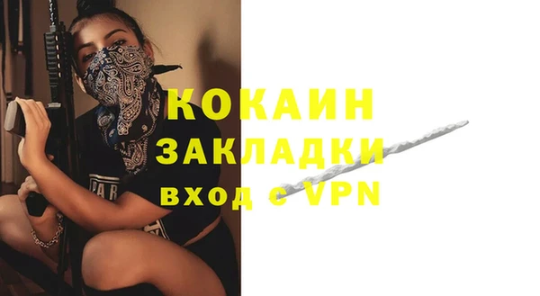 крисы Алзамай