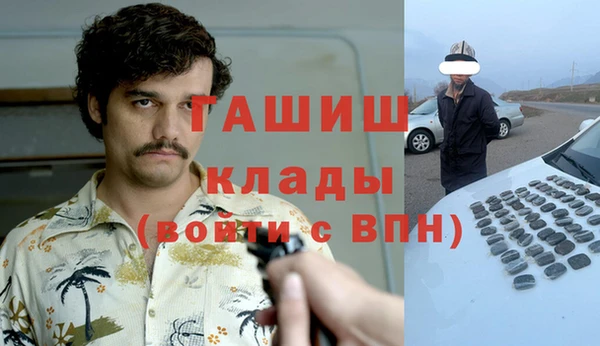 крисы Алзамай
